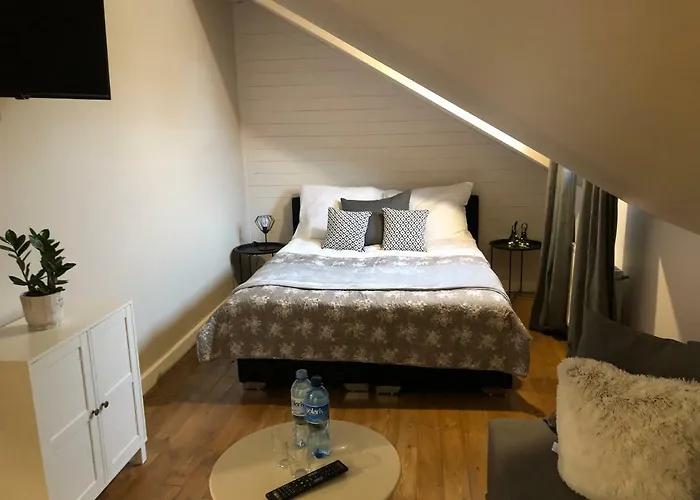 Apartamenty Brzozki