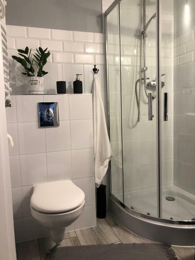 Homestay Brzozki